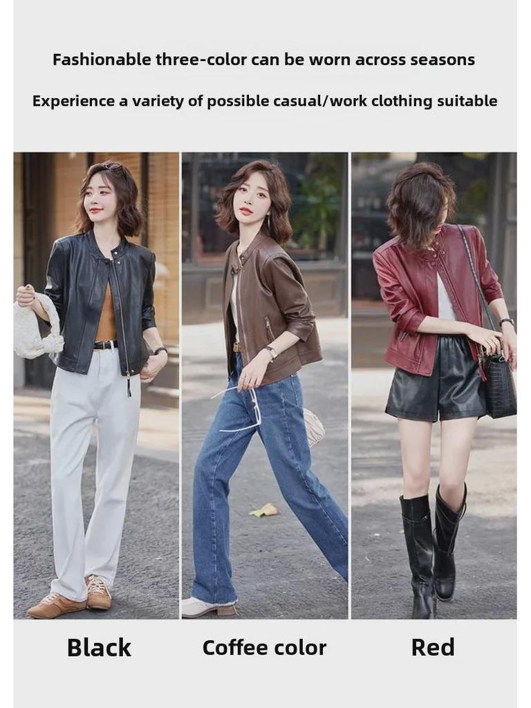 Women's Sheepskin Motorcycle Jacket: Genuine Leather, Stand-Up Collar, Short Style for Spring & Autumn.