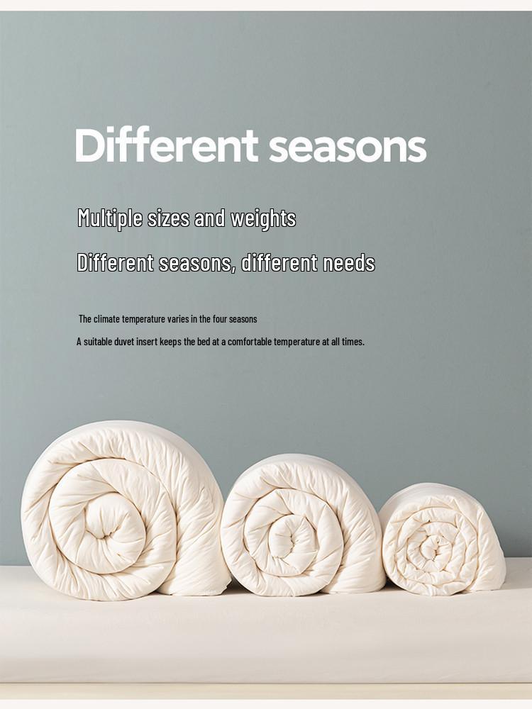 Class A Li Guanqi Soybean Mother-and-Child Winter Quilt – Thickened Soybean Fiber Quilt Core for Warmth