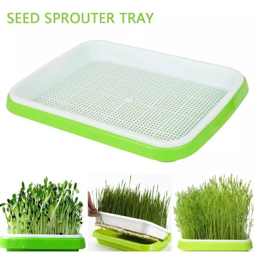 Microgreens Sprouter Tray Hydroponic / Sprouting Tray For Sprout Hagebruk Hydroponic Systems Tray Garden Nursery Potted