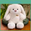 Liebe Plüschhase Stofftierpuppe Mit Weicher Pp-Baumwolle Für Babygeschenk