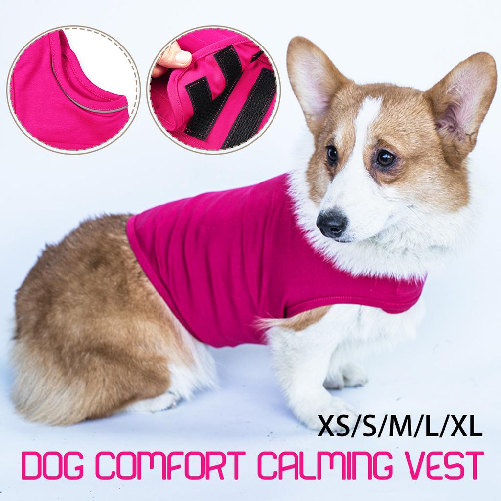 thunder harness for dogs