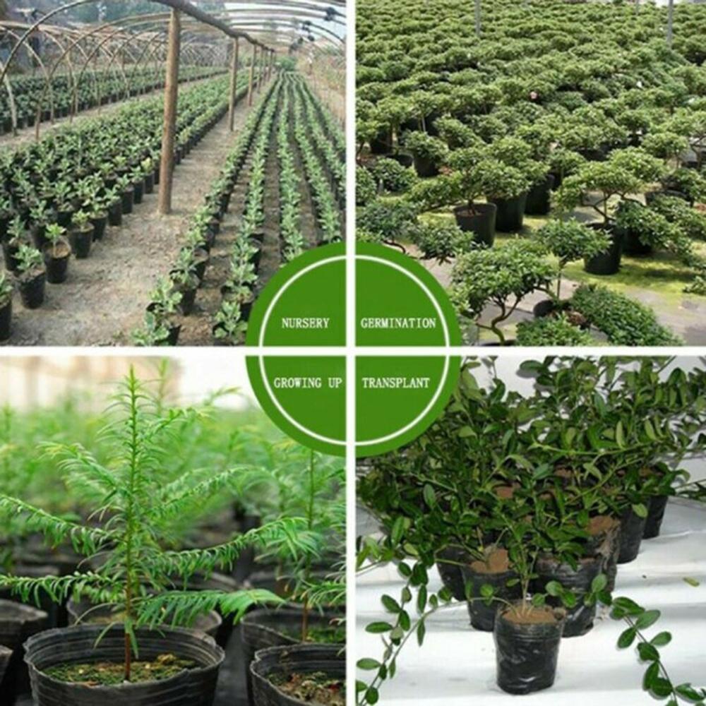 Black Plastic Pots for Garden 100 Pack Designed for Optimal Plant Growth