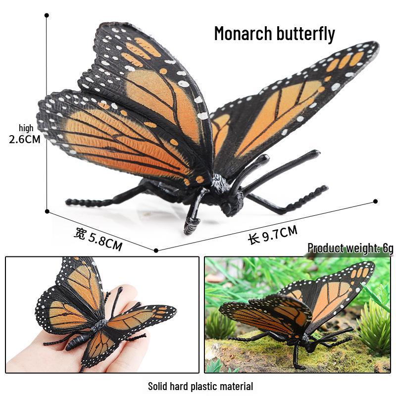 Children s Educational Insect Models: Moon Moth and Caterpillar Growth Cycle