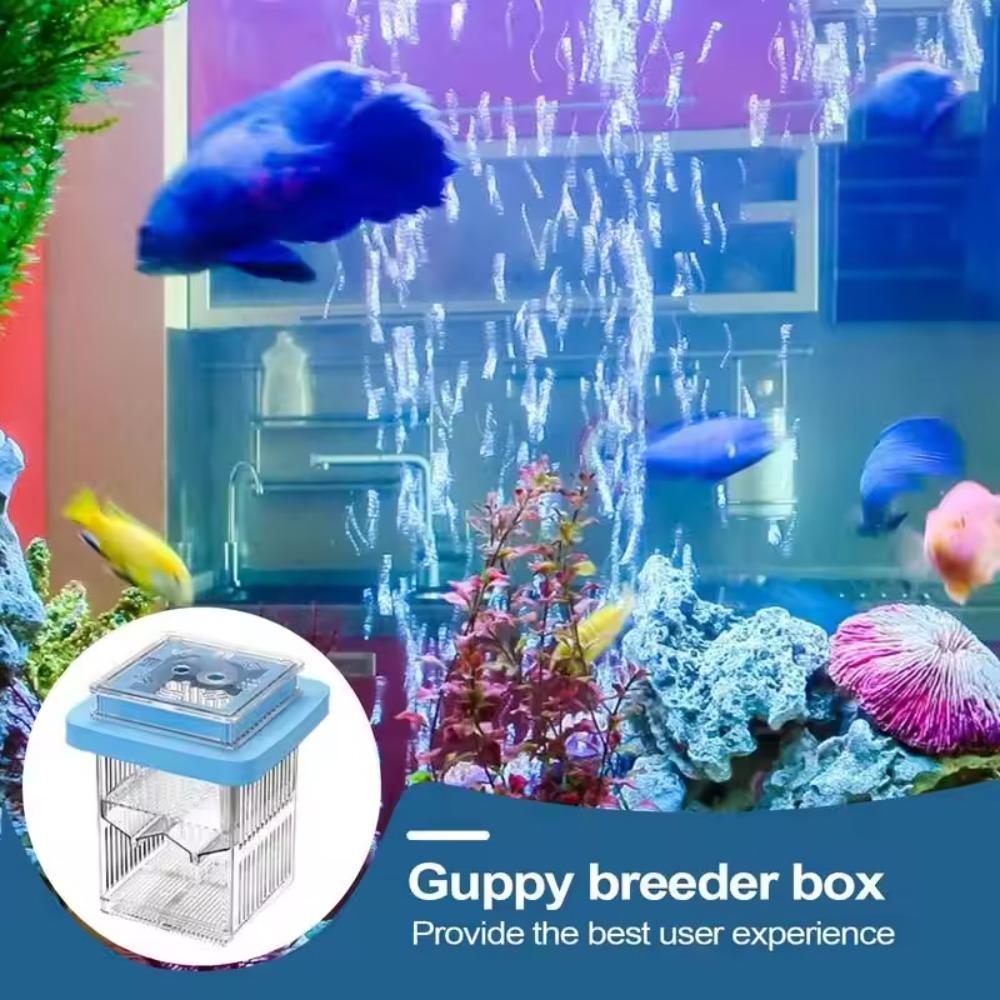 Permeable Floating Hatching Box Transparent Aquatic Life Hatchery Guppy Breeder Box  Fish Breeding