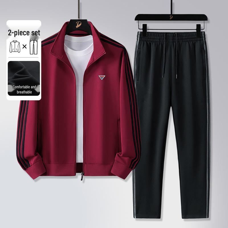 Men's Spring & Autumn Casual Tracksuit: Long Sleeve & Pants Running Set