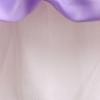 Summer Girls' Children's Dress Children's Wedding Dress Baby's First Birthday Dress Applique Mesh Puffy Skirt
