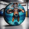 Accessori esterni – Coperture auto