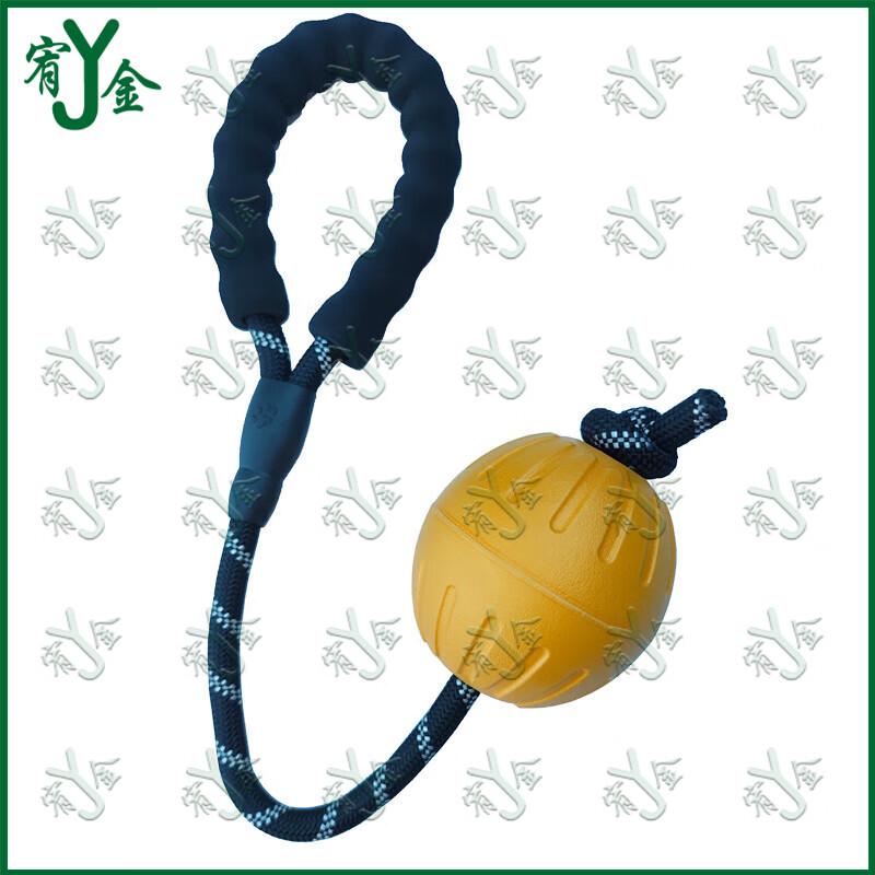 Youjin EVA Floating Training Dog Toy Ball