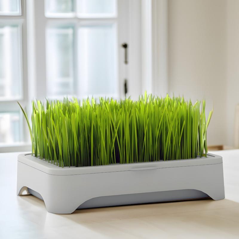 Soilless Wheat Grass Seedling Pot Kit for Cats Indoor Planting Pet-Friendly Design