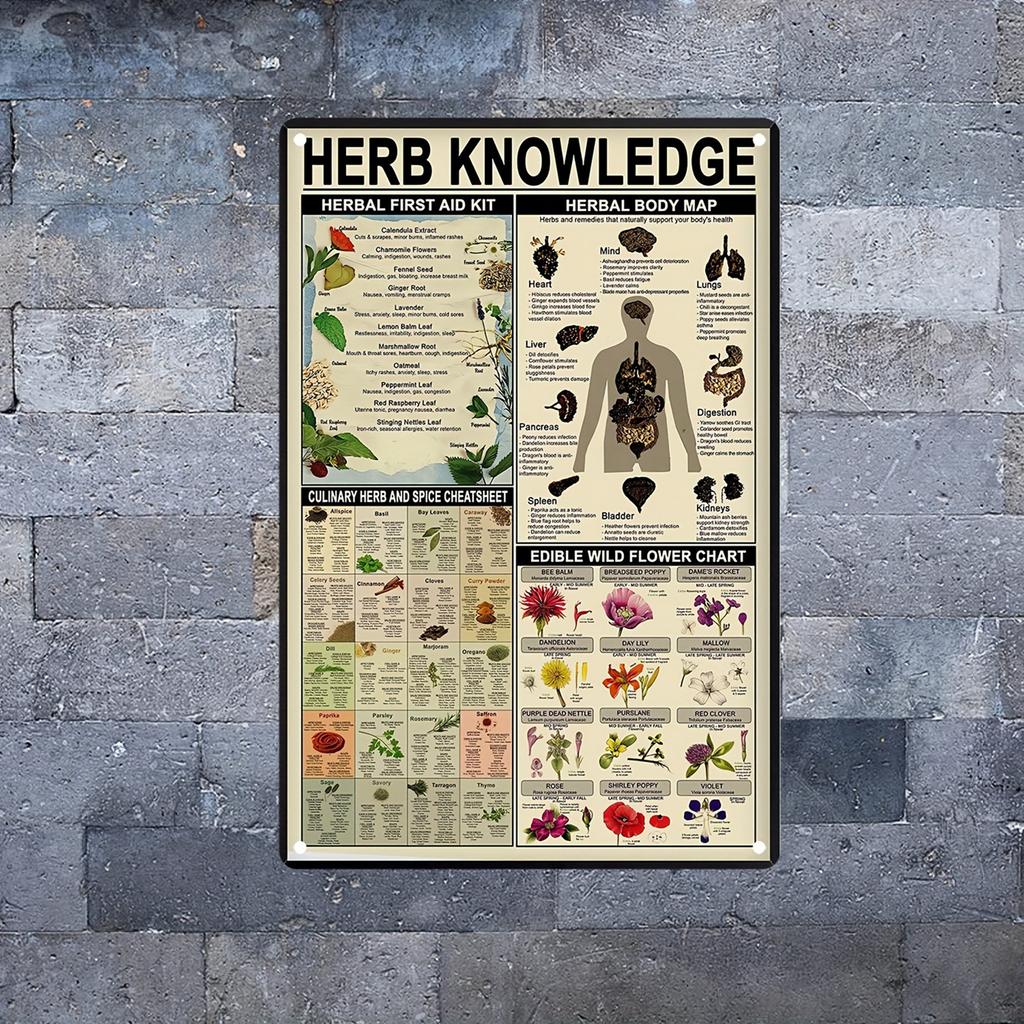 American Retro Tin Painting Herbal Knowledge Herbal Emergency Information Map Poster