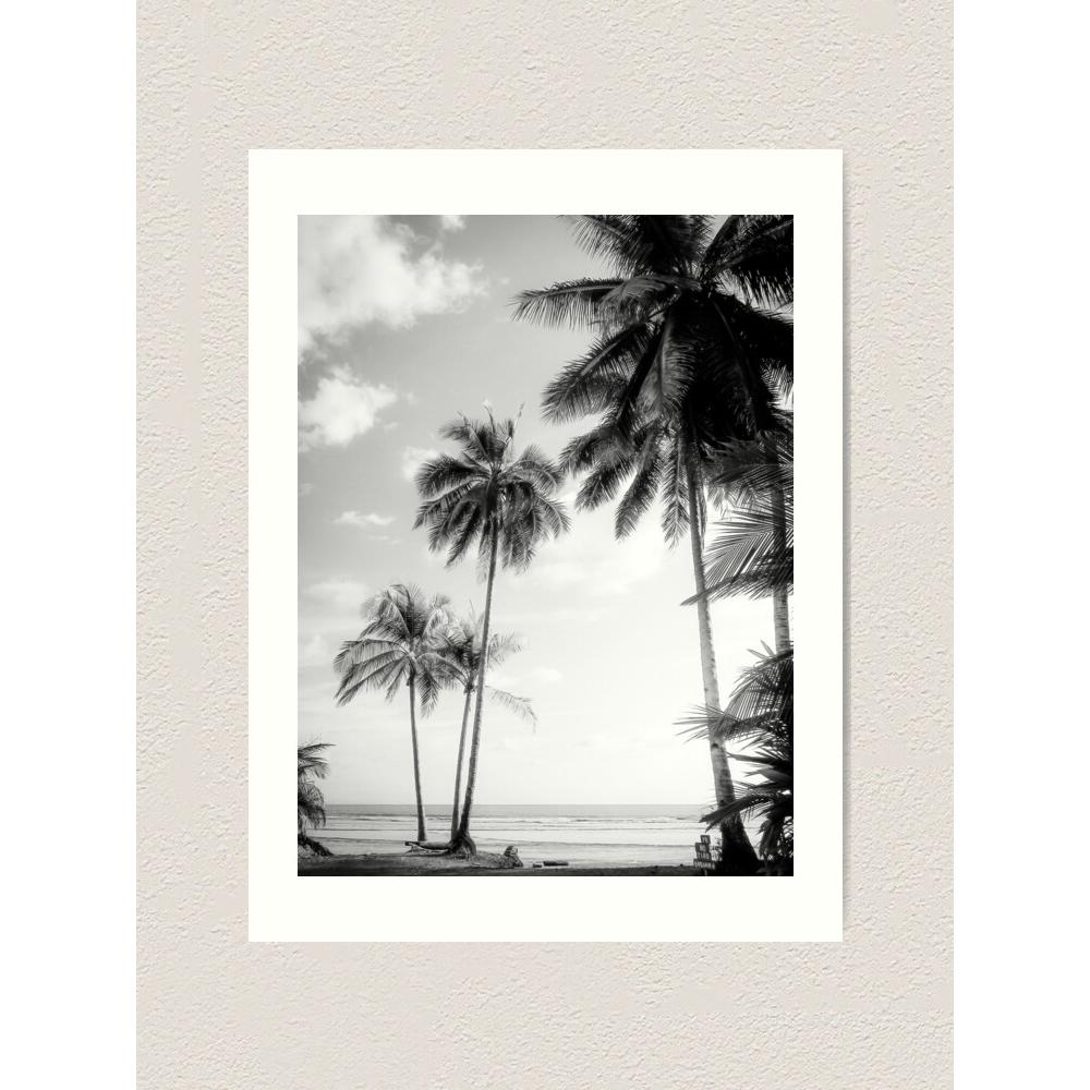 Tapestry of Palm Trees and Sunlight 75x100
