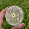 6cm Natural Selenite Disk,Quartz Crystal Disk,Recharge Crystal ,Life Network, Collection,Crystal Gift,Home Decor