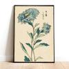 Japanese Flower Antique Vintage Japan Art Poster Plant Canvas Print Asian Painting Wall Art Pictures for Living Room Home Deco