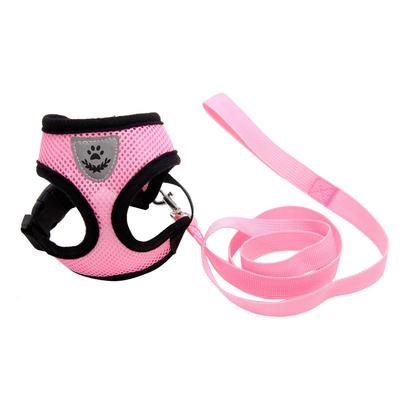 Cani – Collari e guinzagli per cani