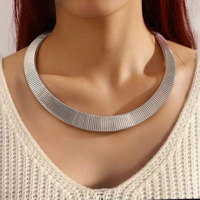 European and American Snake Bone Cold Wind Necklace Men's and Women's Trendy Cool Collar Versatile Collarbone Chain Necklace