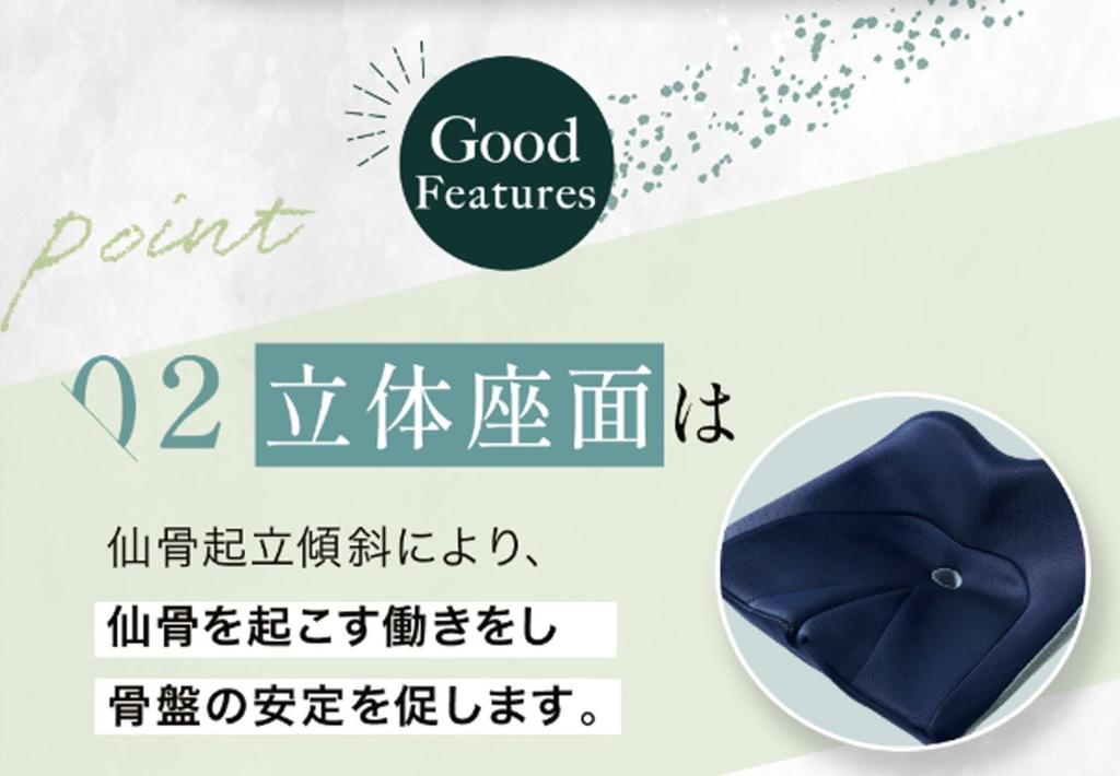 Cojit Beautiful spine back pain urethane mustard - posture, anti-fatigue, stretching, relief, cushion,