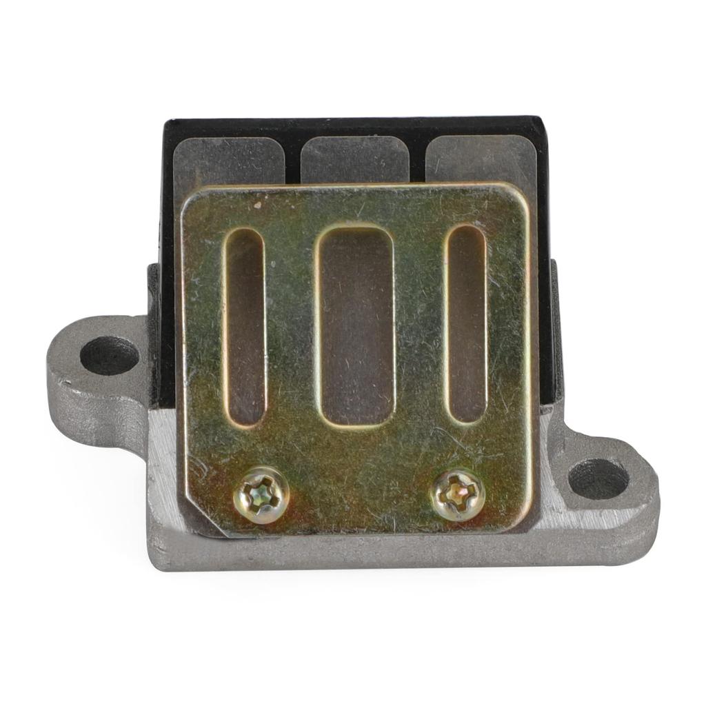 Bruce & Shark Reed Valve Compatible Suzuki Motor AG100