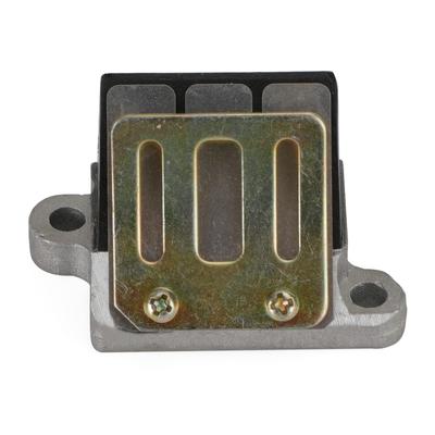 Bruce & Shark Reed Valve Compatible Suzuki Motor AG100