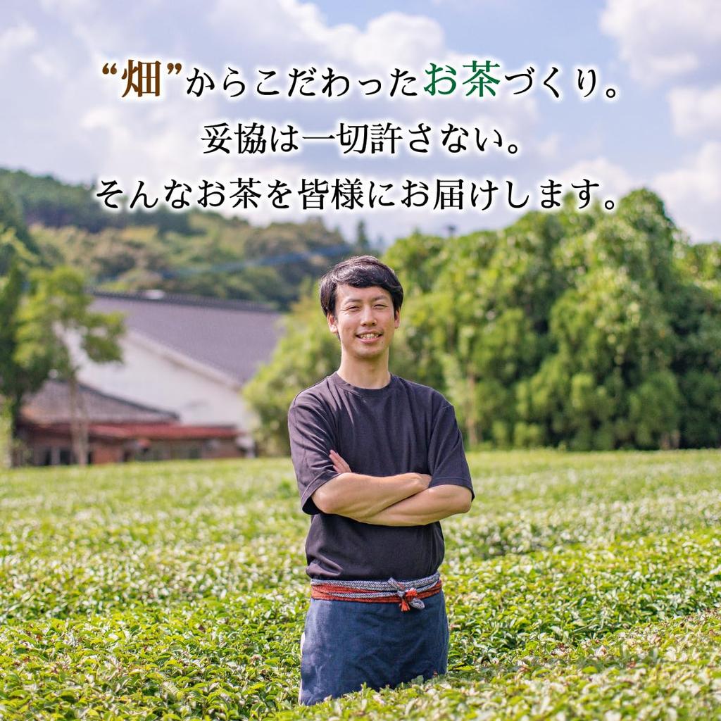 Ureshino Tea, Ureshinoen Tea, Cold Brew Tea Bags, 5g X 35 Tea Bags, Made In Saga, Japan, Suitable for Cold or Hot Brew, Green Tea, Sencha, Japanese