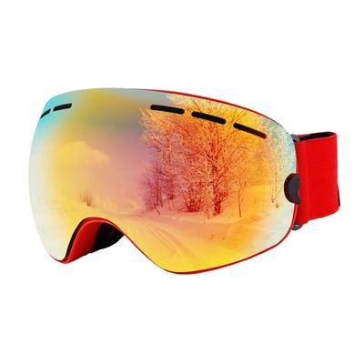 DEWEL Ski and Snow Wide Field of UV Impact Glasses Helmet Snowboard Spherical Storage Bag Case Ideal for Mountain and Other Outdoor Sports Goggles,