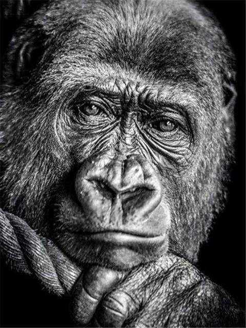 

5D Алмазная вышивка крестиком Волк Алмазная художественная картина черно-белая мозаика подарок ручной работы Full Square 20X30CM светло-синий