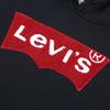 Levis Batwing Logo Bestickter Hoodie Herren Hoodies Schwarz 38479-0021
