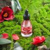 Labiancamellia Celestial Whitening Veganes Serum 30ml