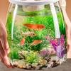 Plastic Turtle Aquarium Transparent Turtle Terrarium Small Clear Fish Tank  Aquarium Setup