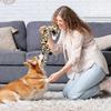 Giocattoli per Cani Senza Imbottitura, Confezione da 5 Giocattoli Cani Stridenti Indistruttibili, Morbido Giocattolo in Peluche per Cani Piccoli Medi Grandi