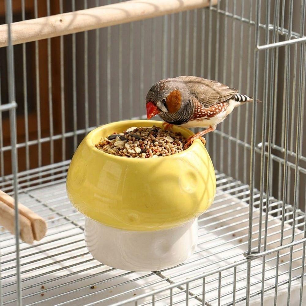 Ceramic Parrot Food Bowl Large Capacity Feeding Station Bird Water Bowl  Balcony Use