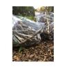 Standard Poly Extra 10 900 X 800 X 05 Mm JAPACK'S Bags, Thick, 70L, Pieces, Transparent,