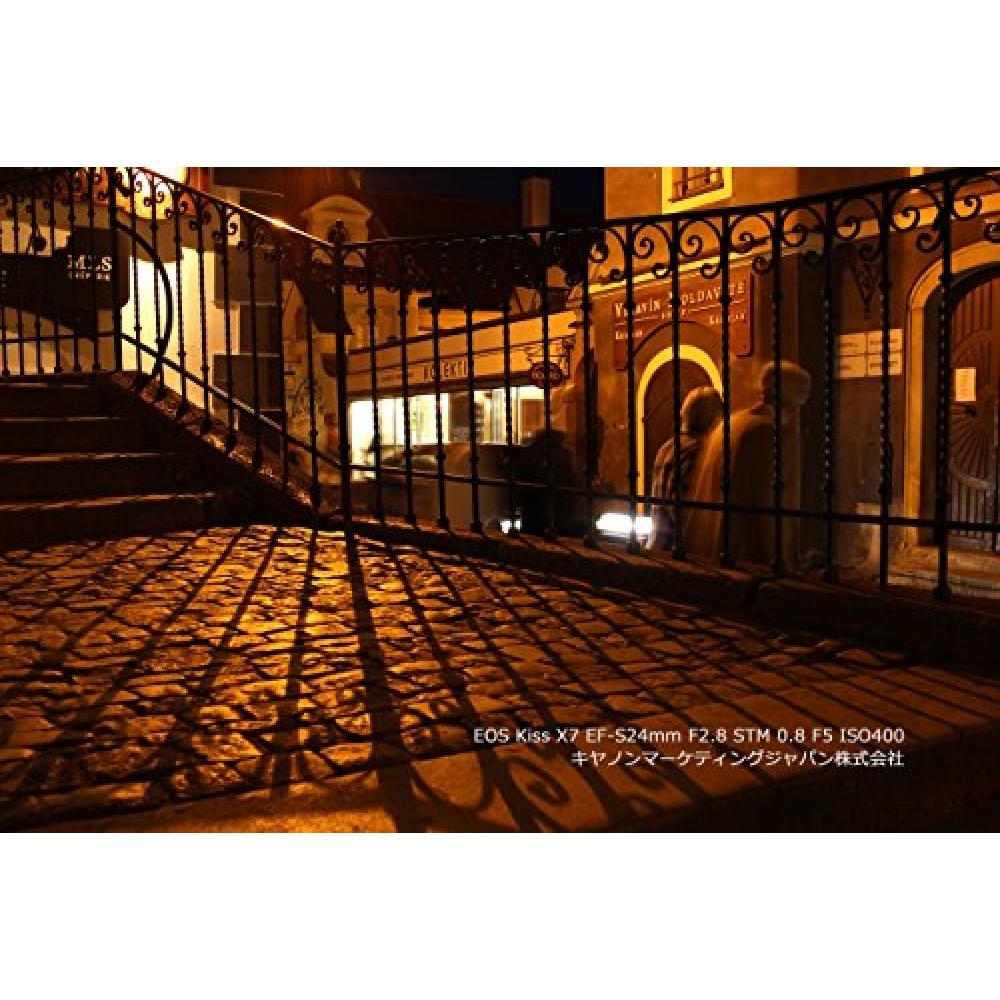 Canon Einzelfokus-Weitwinkelobjektiv EF-S24mm F2.8 STM APS-C kompatibel EF-S2428STM