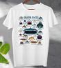 Haiflossen Meeresleben Art von Hai T-Shirt Herren Damen T-Shirts Oberteil Unisex Herren Damen Oberteil