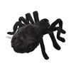 BH8489 HANSA Black Tarantula 19