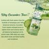 Biotique Cucumber Toner For Pore Tightening 120ml | Natural pH Balance | Oil Control | Botanical Extracts | Oily Skin Care