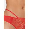 Chantelle Spice Panties