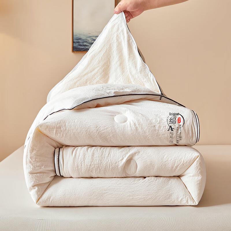 OEING Winter Warm Soy Fiber Duvet