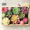 Faux Plants Bouquet Micro Landscape Ornament Simulation No Watering Realistic Ornaments Flocking Texture Indoor Decorative for Home Miniature