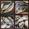 304 Edelstahl Schnellreinigung Fischschäler Schuppenentferner Meeresfrüchteknacker Fischschuppenreiniger Planet Hautbürste Schaber Werkzeug