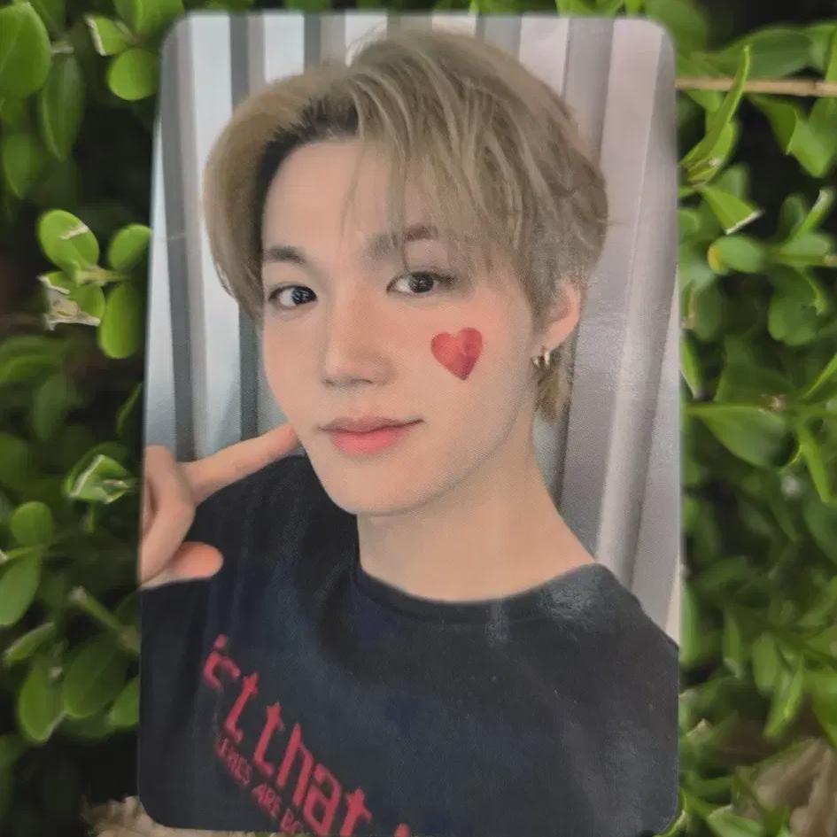 

Love Pulse Приветствия в день выхода Ким Доён Фотокарточка