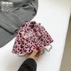 Personalized leopard print small bag women's 2025 new Korean version of fashion niche design clothes modeling crossbody small square bag