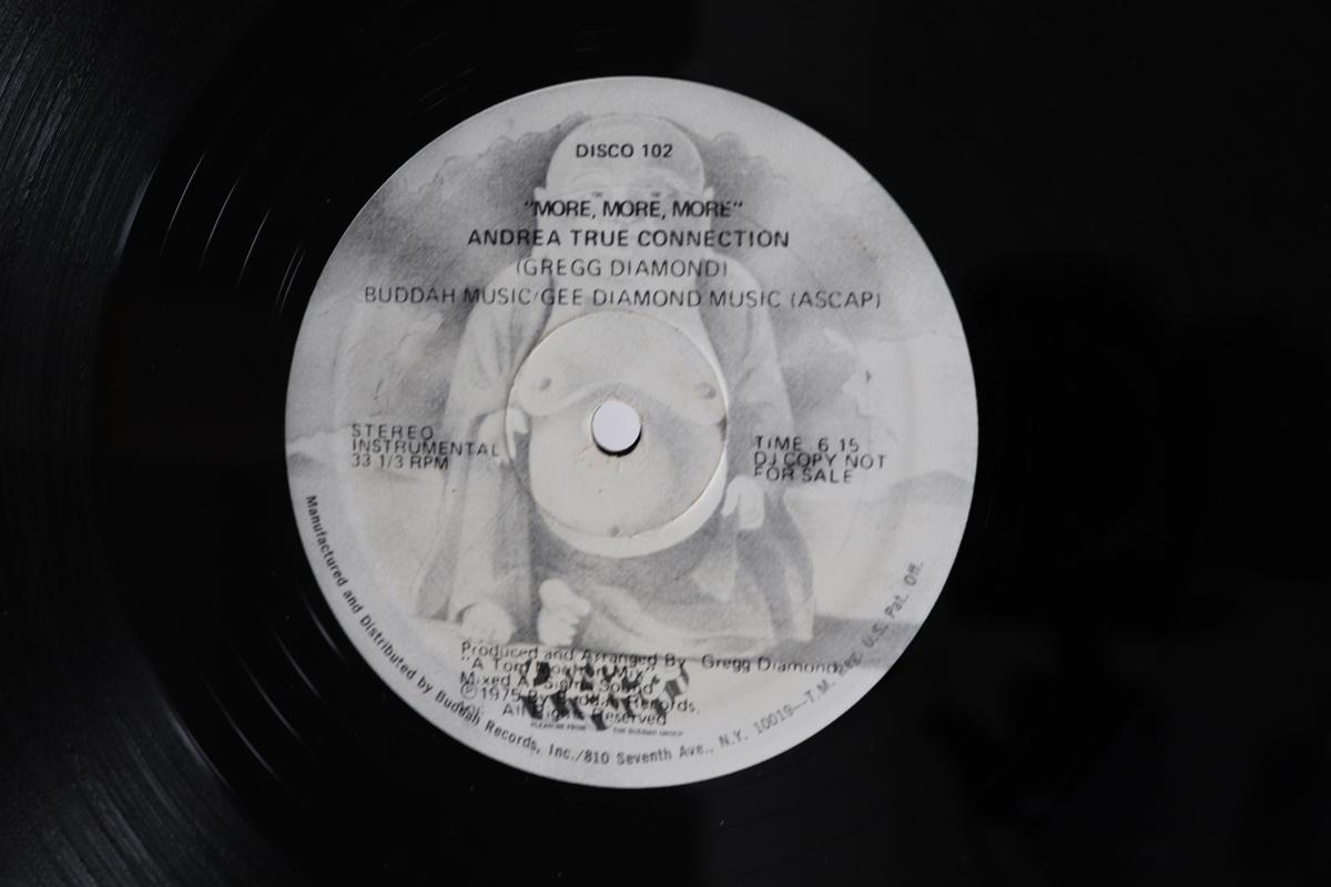 

12inch Record ANDREA TRUE CONNECTION - More, More, More DISCO102 BUDDAH 1975 US Soul/Funk Used