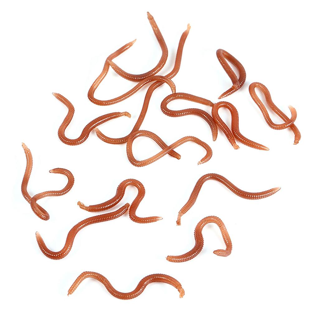 10cm Worm Shaped Fishy Smell Soft Fishing Lure Baits With Box For Fishermen