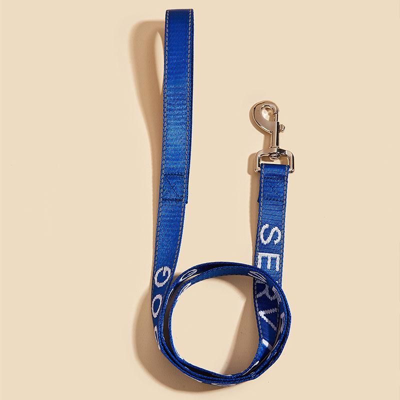 Laisse pour chien d'assistance 2,5*120cm avec poignée en néoprène, Support animal, Lettre brodée, Laisse réfléchissante pour chien (as the picture,4ft)