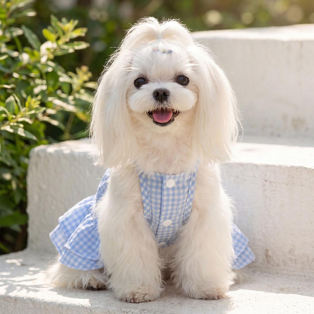 Cute Blue Plaid Dog Dress Breathable Bow Puppy Summer Clothes With Traction Harness For Small Medium Teddy Chihuahua Dog Clothes