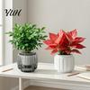 Ceramic Plant Holder Self Watering Pots for Indoor Plants, Plastic Planter with Drainage Wide Mouth Flower Pot Holes, Small Houseplants, African
