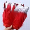 1 Meter Soaked Goose Feather Decorative Ribbon Natural Swan Feather Decorative Wedding Dress Feather Dyeing 15-20Cm