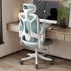 Ergonomic Home Office Chair: Comfortable Computer and E-Sports Chair with Backrest for Long Sitting