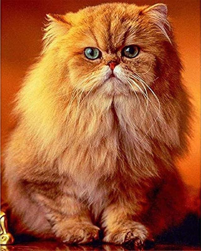 Diamond Painting Full Flower Tree Cat 5D DIY Diamond Embroidery Full Set Sale Animal Cross Stitch Rhinestones Mosaic Handicraft