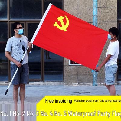 High-End National & Party Flag Ornament Set: Handheld, Car, Nano Anti, Sizes No. 1-5